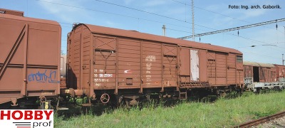 Gedeckter Güterwagen Ztt ZSR V